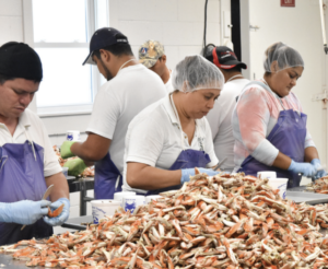 crab worker
